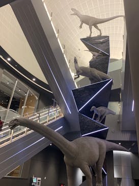 福井県立恐竜博物館に投稿された画像（2024/8/10）