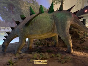 福井県立恐竜博物館に投稿された画像（2024/8/10）