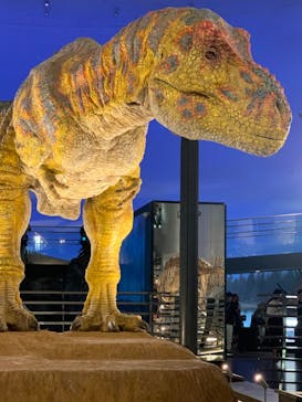 福井県立恐竜博物館に投稿された画像（2024/8/10）