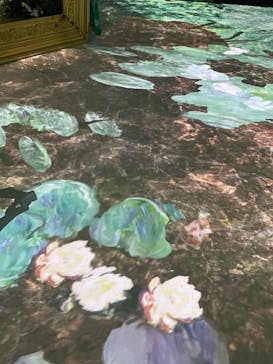 モネ＆フレンズ・アライブに投稿された画像（2024/8/10）