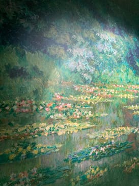 モネ＆フレンズ・アライブに投稿された画像（2024/8/10）