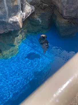 アクアワールド茨城県大洗水族館に投稿された画像（2024/8/10）