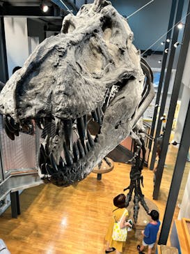 福井県立恐竜博物館に投稿された画像（2024/8/10）