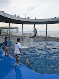大分マリーンパレス水族館 「うみたまご」に投稿された画像（2024/8/10）