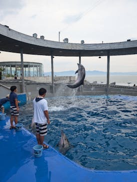 大分マリーンパレス水族館 「うみたまご」に投稿された画像（2024/8/10）