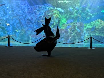 大分マリーンパレス水族館 「うみたまご」に投稿された画像（2024/8/10）