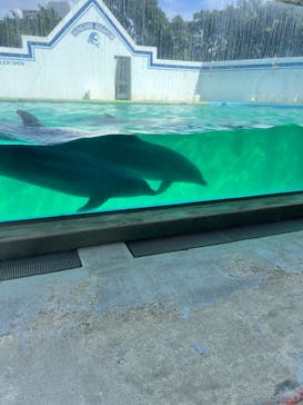 しながわ水族館に投稿された画像（2024/8/10）