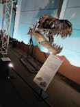 巨大恐竜展2024に投稿された画像（2024/8/10）