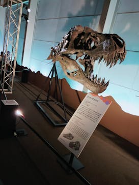 巨大恐竜展2024に投稿された画像（2024/8/10）