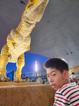 福井県立恐竜博物館に投稿された画像（2024/8/10）
