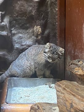 恩賜上野動物園に投稿された画像（2024/8/10）