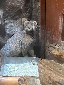 恩賜上野動物園に投稿された画像（2024/8/10）