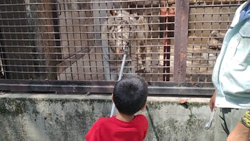 宇都宮動物園に投稿された画像（2024/8/10）