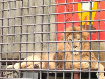 宇都宮動物園に投稿された画像（2024/8/10）