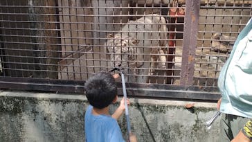 宇都宮動物園に投稿された画像（2024/8/10）