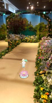 モネ＆フレンズ・アライブに投稿された画像（2024/8/10）