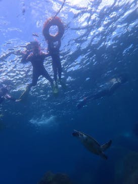 オーシャンブルヴァードに投稿された画像（2024/8/10）