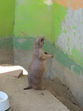 淡路ファームパーク イングランドの丘に投稿された画像（2024/8/10）