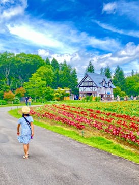 牧歌の里に投稿された画像（2024/8/10）