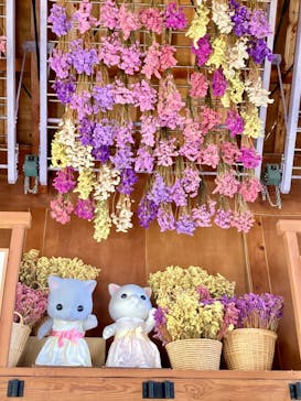 牧歌の里に投稿された画像（2024/8/10）