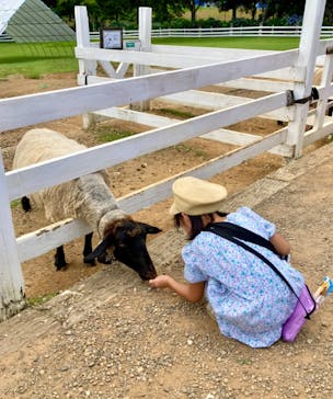 牧歌の里に投稿された画像（2024/8/10）