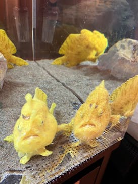 浜名湖体験学習施設ウォットに投稿された画像（2024/8/5）