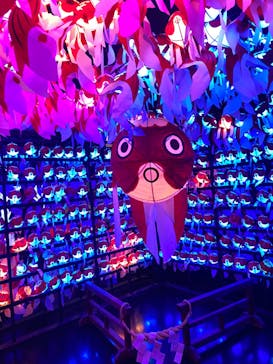 NARA KINGYO MUSEUMに投稿された画像（2024/8/10）