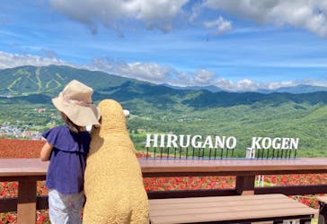 ひるがのピクニックガーデンに投稿された画像（2024/8/10）