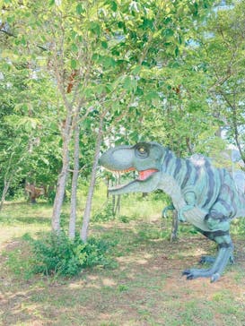 ひるがのピクニックガーデンに投稿された画像（2024/8/10）