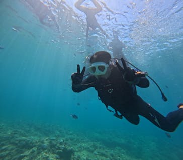 B-nature（ビーネイチャー）に投稿された画像（2024/8/10）