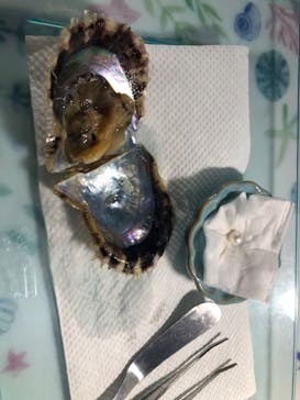 大分マリーンパレス水族館 「うみたまご」に投稿された画像（2024/8/10）