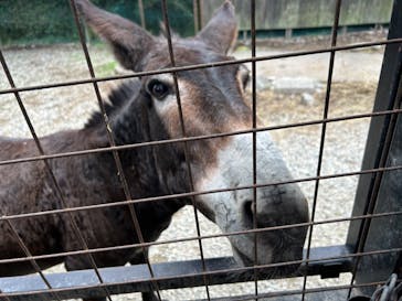 那須サファリパークに投稿された画像（2024/8/10）