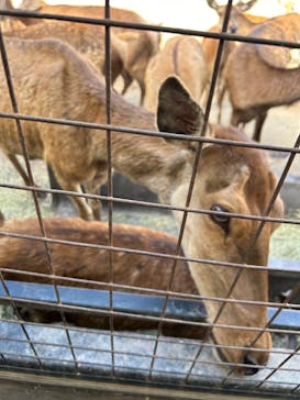 那須サファリパークに投稿された画像（2024/8/10）