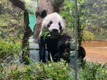 恩賜上野動物園に投稿された画像（2024/8/10）
