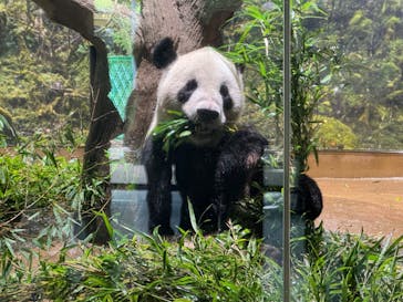 恩賜上野動物園に投稿された画像（2024/8/10）