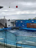 仙台うみの杜水族館に投稿された画像（2024/8/10）