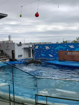 仙台うみの杜水族館に投稿された画像（2024/8/10）