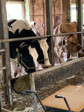 成田ゆめ牧場に投稿された画像（2024/8/10）