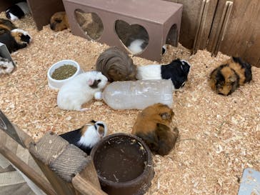 成田ゆめ牧場に投稿された画像（2024/8/10）