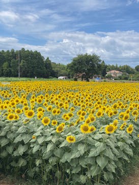 成田ゆめ牧場に投稿された画像（2024/8/10）