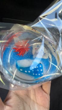 川越体験工房青い鳥に投稿された画像（2024/8/10）