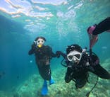 沖縄マリンサービス碧に投稿された画像（2024/8/10）