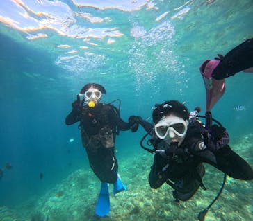 沖縄マリンサービス碧に投稿された画像（2024/8/10）