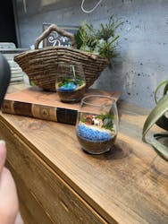 ミルキーグリーン 横浜赤レンガ倉庫に投稿された画像（2024/8/10）