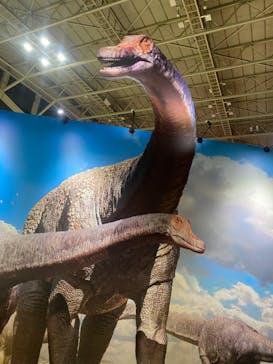 巨大恐竜展2024に投稿された画像（2024/8/10）