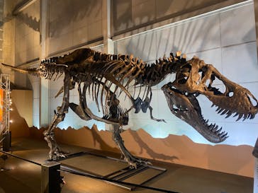 巨大恐竜展2024に投稿された画像（2024/8/10）