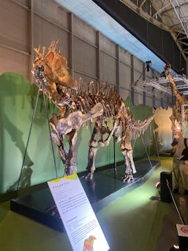 巨大恐竜展2024に投稿された画像（2024/8/10）