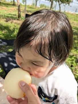 びわこもりやまフルーツランドに投稿された画像（2024/8/10）