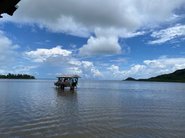 西表島 ADVENTURE PiPi（アドベンチャーピピ）に投稿された画像（2024/8/10）