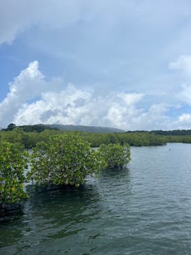 西表島 ADVENTURE PiPi（アドベンチャーピピ）に投稿された画像（2024/8/10）